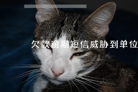 欠款逾期短信威胁到单位 欠款逾期短信威胁到单位