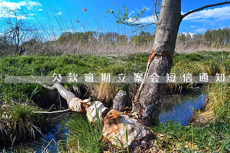 欠款逾期立案会短信通知吗 欠款逾期立案会短信通知吗