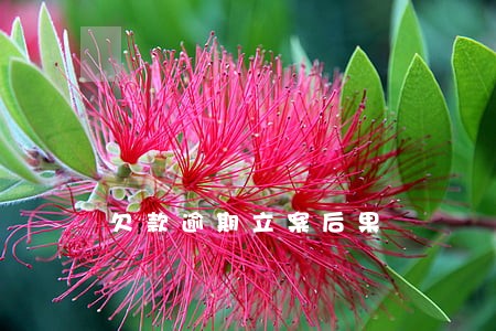 欠款逾期立案后果 欠款逾期立案后果