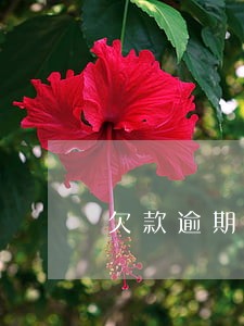 欠款逾期第三方委托资产评估公司 欠款逾期第三方委托资产评估公司