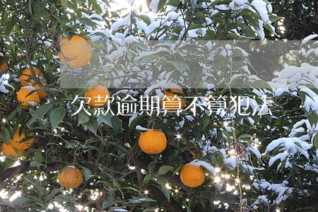 欠款逾期算不算犯法 欠款逾期算不算犯法