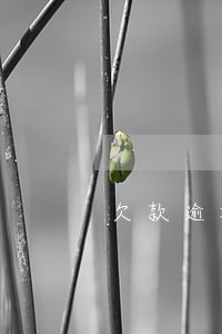欠款逾期算不良记录吗 欠款逾期算不良记录吗