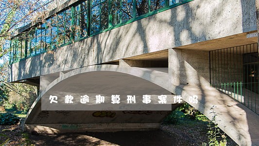 欠款逾期算刑事案件吗 欠款逾期算刑事案件吗