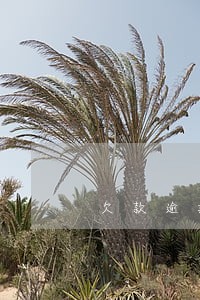 欠款逾期算失信吗 欠款逾期算失信吗