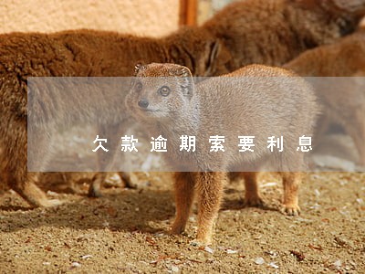 欠款逾期索要利息 欠款逾期索要利息