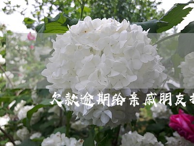 欠款逾期给亲戚朋友打电话犯法么 欠款逾期给亲戚朋友打电话犯法么