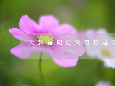欠款逾期给父母打电话 欠款逾期给父母打电话