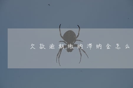 欠款逾期缴纳滞纳金怎么算 欠款逾期缴纳滞纳金怎么算