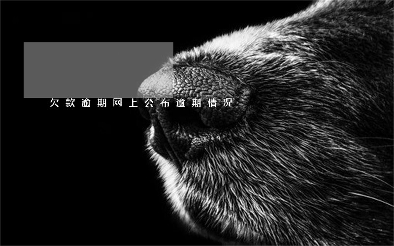 欠款逾期网上公布逾期情况 欠款逾期网上公布逾期情况