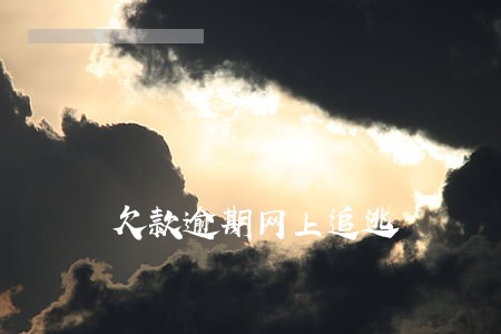 欠款逾期网上追逃 欠款逾期网上追逃