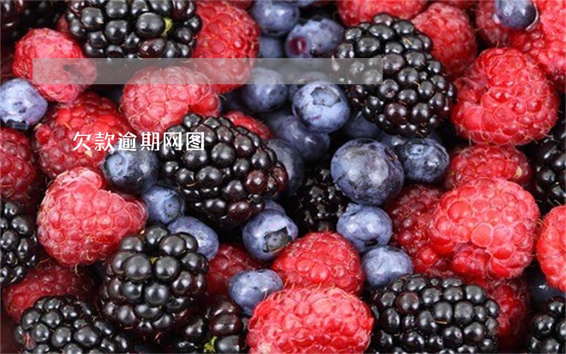 欠款逾期网图 欠款逾期网图