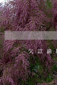 欠款逾期罚息正常吗 欠款逾期罚息正常吗