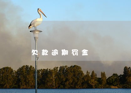 欠款逾期罚金