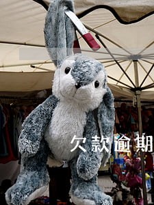 欠款逾期能不能利息超过本金 欠款逾期能不能利息超过本金