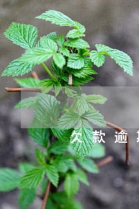 欠款逾期能买乘客车票 欠款逾期能买乘客车票