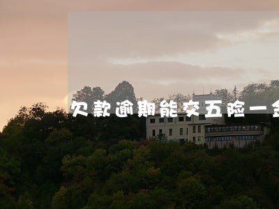 欠款逾期能交五险一金吗 欠款逾期能交五险一金吗