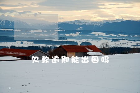 欠款逾期能出国吗 欠款逾期能出国吗