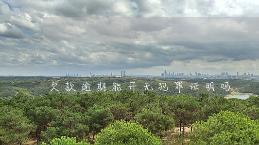 欠款逾期能开无犯罪证明吗 欠款逾期能开无犯罪证明吗