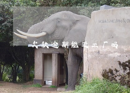 欠款逾期能进工厂吗 欠款逾期能进工厂吗