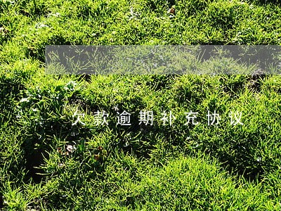欠款逾期补充协议