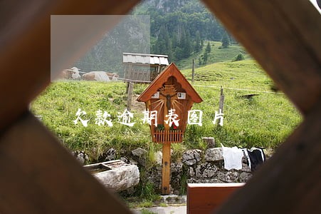 欠款逾期表图片 欠款逾期表图片
