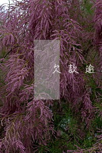 欠款逾期被仲裁怎么办 欠款逾期被仲裁怎么办