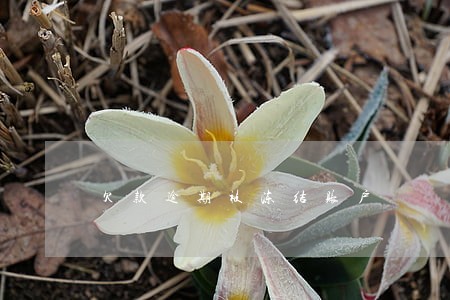 欠款逾期被冻结账户