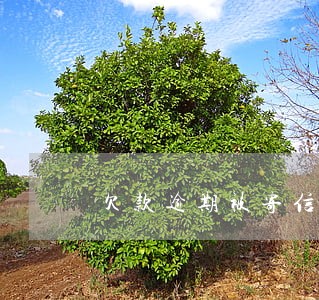 欠款逾期被寄信件了