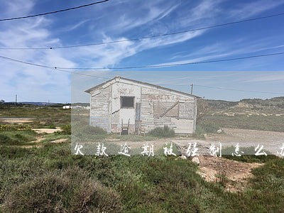 欠款逾期被强制怎么办 欠款逾期被强制怎么办