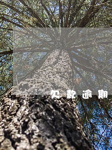 欠款逾期被执法从工资卡上扣 欠款逾期被执法从工资卡上扣