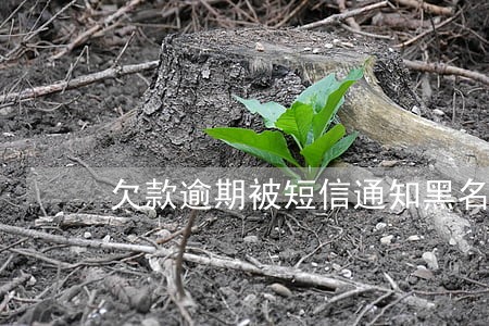 欠款逾期被短信通知黑名单 欠款逾期被短信通知黑名单