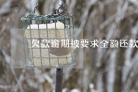 欠款逾期被要求全额还款 欠款逾期被要求全额还款