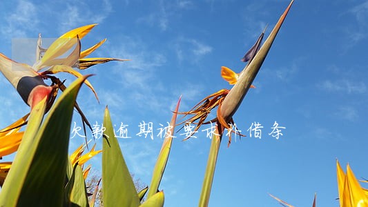 欠款逾期被要求补借条 欠款逾期被要求补借条