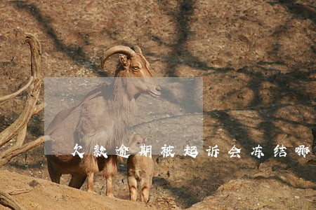 欠款逾期被起诉会冻结哪些账号 欠款逾期被起诉会冻结哪些账号