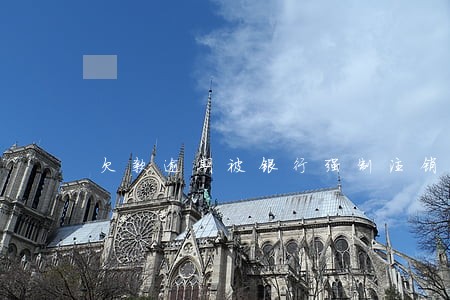 欠款逾期被银行强制注销 欠款逾期被银行强制注销