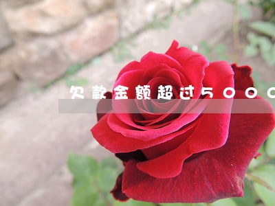 欠款金额超过5000逾期一年 欠款金额超过5000逾期一年