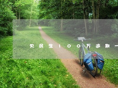 欠民生100万逾期一年了上海 欠民生100万逾期一年了上海