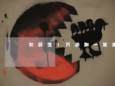 欠民生1万逾期一年未还款 欠民生1万逾期一年未还款