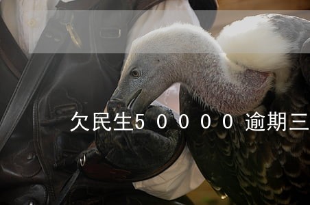 欠民生50000逾期三个月 欠民生50000逾期三个月
