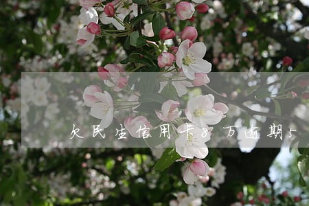 欠民生信用卡8万逾期5年 欠民生信用卡8万逾期5年