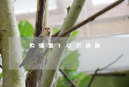 欠浦发10万逾期 欠浦发10万逾期