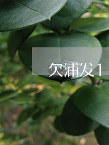 欠浦发16万逾期半年 欠浦发16万逾期半年