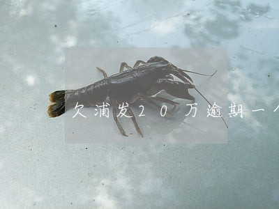 欠浦发20万逾期一个月 欠浦发20万逾期一个月