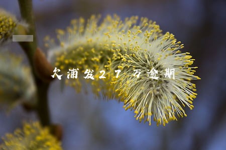 欠浦发27万逾期 欠浦发27万逾期