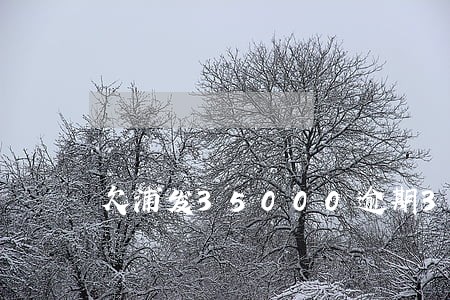 欠浦发35000逾期3个月 欠浦发35000逾期3个月