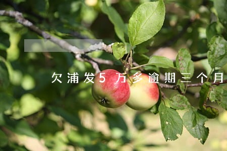 欠浦发5万多逾期三个月会怎么样 欠浦发5万多逾期三个月会怎么样