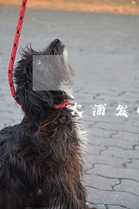 欠浦发6万逾期三个月怎么办 欠浦发6万逾期三个月怎么办