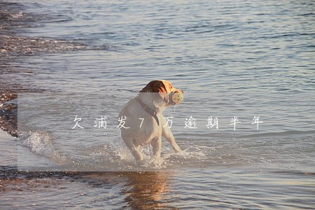 欠浦发7万逾期半年