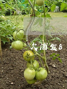 欠浦发85000逾期4个月 欠浦发85000逾期4个月