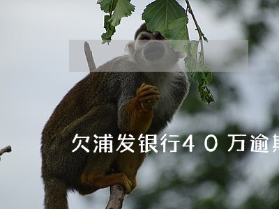 欠浦发银行40万逾期一年